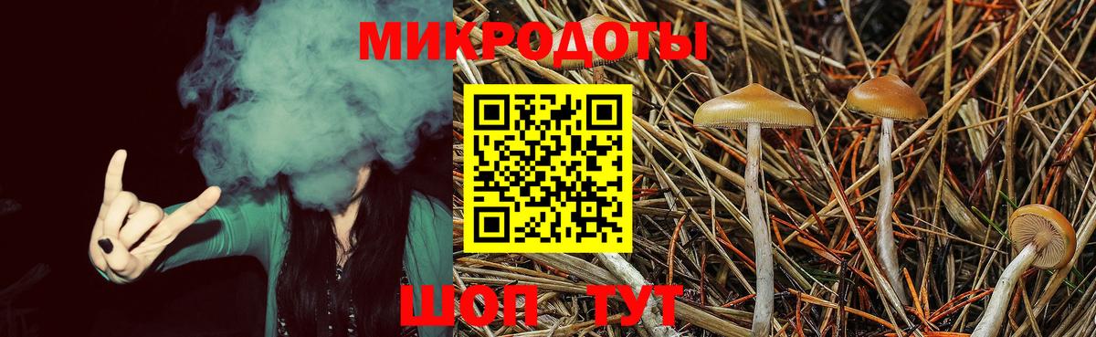 Мариинск  Галлюциногенные грибы Cubensis  Вход с VPN 