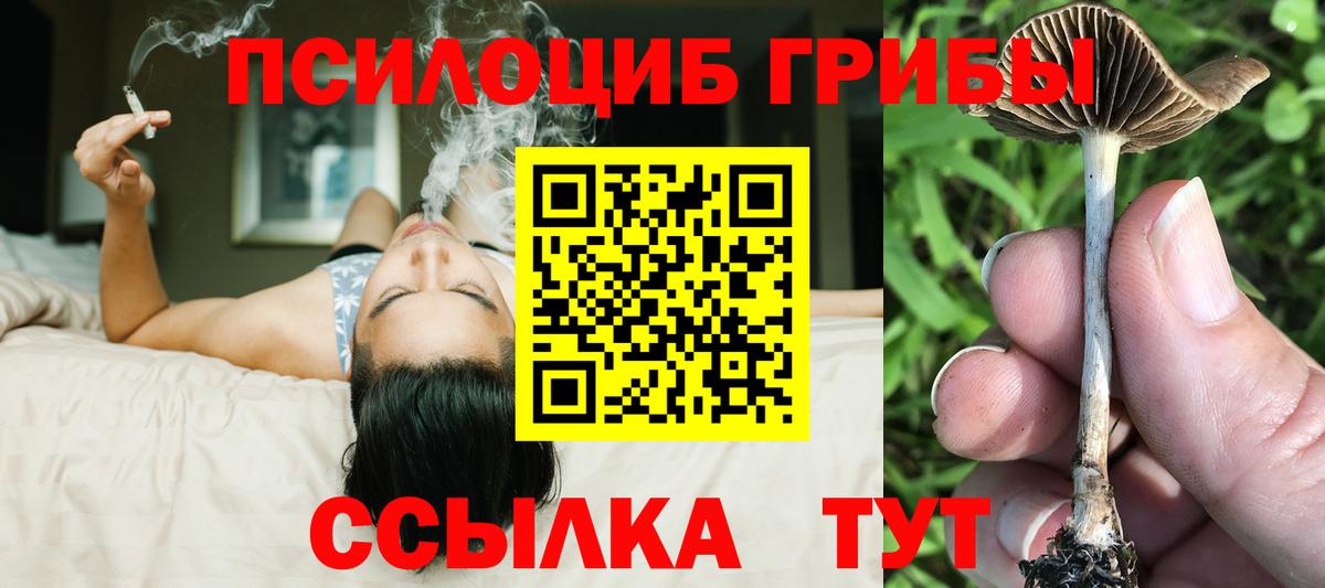 Псилоцибиновые грибы мицелий Мариинск